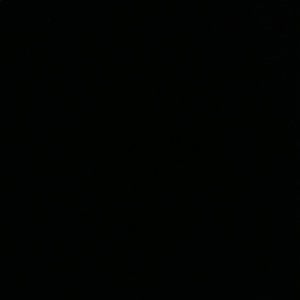 Meet your Posher, Reginald